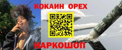 гашик Гатчина