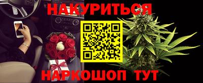 гашик Гатчина