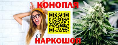 стаф Сланцы