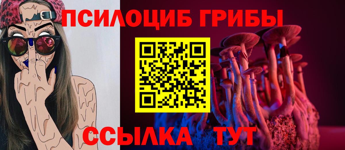 Моздок  Галлюциногенные грибы ЛСД  как найти закладки  Псилоцибиновые грибы Psilocybine cubensis  Вход с VPN 
