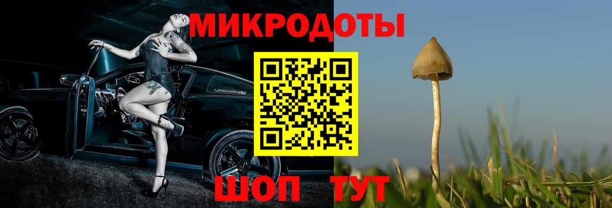 Псилоцибиновые грибы прущие грибы Моздок
